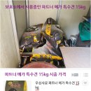 군청 민원과 이미지