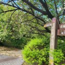 완산-77 이미지