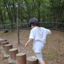 하랑숲유치원 이미지