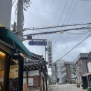 산삼배양근삼계탕다도해 | 경복궁 맛집] 종로 보양식 맛집 토속촌삼계탕 산삼배양근 삼계탕 인삼주 솔직후기 웨이팅 주차 예약 오픈런
