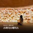 스파존대중사우나 | 경남 온천 창원 찜질방 추천 마산 스파더스페이스 실내 데이트 후기