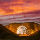 see more sea A | [Korea Itinerary] 5-Day Gyeongju Travel Guide: A Cultural Treasure Hunt in Korea's Ancient Capital