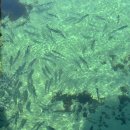 경희대 남양 태권도장 이미지