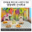 댕댕대학 간식학과 | 인천 강아지케이크 당일 맞춤제작 댕댕대학 간식학과 소개