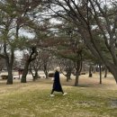 거창원조뒷고기 | 미실의 시대이옵니다