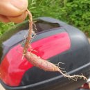 한얼농장 이미지