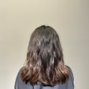 아우프(Auuf) | 범계 미용실 추천 :: 아우프 Auufㅣ볼륨매직 머리정돈 후기💇🏻‍♀️ (도희 디자이너님)