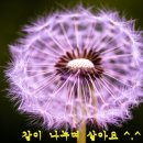 주식회사 니즈 이미지
