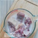오리한마리 이미지