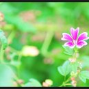 김종문농장 이미지