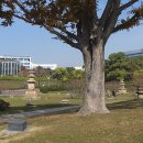 경북대학교 석탑 7기 이미지