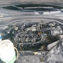 SH모터스 이미지