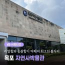 목포자연사박물관 티스토리