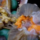 서해꽃게 이미지