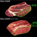 지리를 알면 보이는 세상 | 도안동 소고기 무한리필 진원소우 후기｜척아이롤 맛없을까