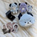 창도체육관 | 엑스디너리 히어로즈 [𝓑𝓮𝓪𝓾𝓽𝓲𝓯𝓾𝓵 𝓜𝓲𝓷𝓭 𝓦𝓸𝓻𝓵𝓭 𝓣𝓸𝓾𝓻 ] 피날레 인 서울 후기