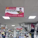 42 | 강구항 동광어시장 가성비 영덕대게센타 42호 내돈내산 후기