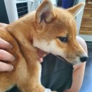 율곡동물병원 이미지