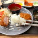 돈바우 이미지