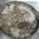 킹콩호 이미지