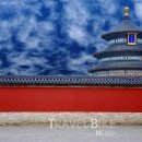 고수의 비법 이미지