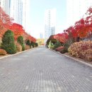 푸르지오골드공인중개사사무소 이미지