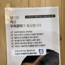 수(Su)에스테틱 - 남구 | 부산 동래 에스테틱 아로마 헤드스파 온천장 헤드스파 수 에스테틱 힐링 제대로 하고온 후기