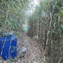 용화리 경로당 이미지