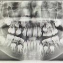 별가람소아치과의원 이미지