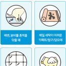 펫 패밀리 이미지