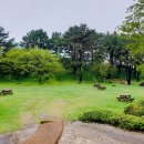 퍼피월드제주 이미지