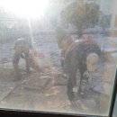 바라밀실버하우스 이미지