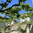 정승식당 이미지