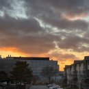 [Waterloo] 5월- 룸렌트 / 로컬 서버잡 레퍼럴 가능! / ion(rail) 도보 6분 / UW 도보 3분 이미지