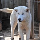 현지네 농원 이미지