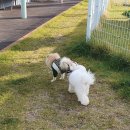 카페미밍코 이미지