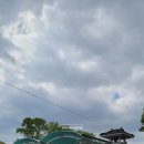 새물내감자탕