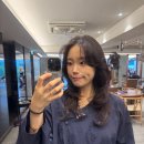 두나의 하루 반려견 미용실 | 반곱슬 여름 머리 고민 해결! 양재역미용실 준오헤어 양재1호점 매직 세팅 C컬 후기