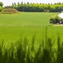 여왕목장 이미지