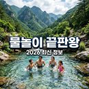 영암 기찬랜드 2026년 최신 정보! 개장일, 입장료, 평상 예약 완벽 정리해요
