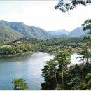 산막이옛길 이미지