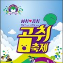 자연중심 양구 곰취축제 2019 이미지