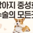 그랜드동물병원 이미지