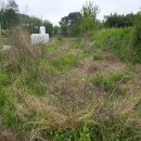 석전동506 이미지