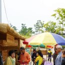 시민한약건재약업사 | [제천] 국제한방바이오산업엑스포 - 가을축제에서 체험을 즐기자