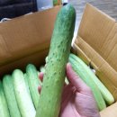 참바른유통