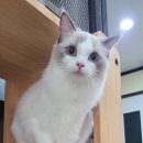 호텔메이 이미지