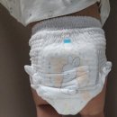 [모모래빗] 에코 컴포트핏 팬티기저귀 사용 후기 (아기 낮 기저귀, 어린이집준비물 기저귀)