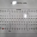 푸른숲동물병원 이미지