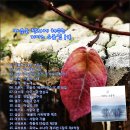 2013.04.14. 월사모 달밭골~성재~원적봉~도간재~동양대뒷산~잠뱅이(담뱃)재 산행| 이미지